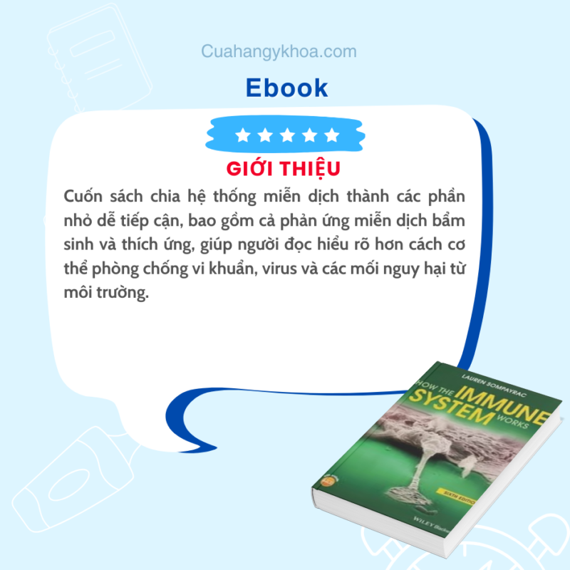 Hệ Thống Miễn Dịch Hoạt Động Như Thế Nào - 6th Edition: Khám Phá Cơ Chế Bảo Vệ Cơ Thể Con Người