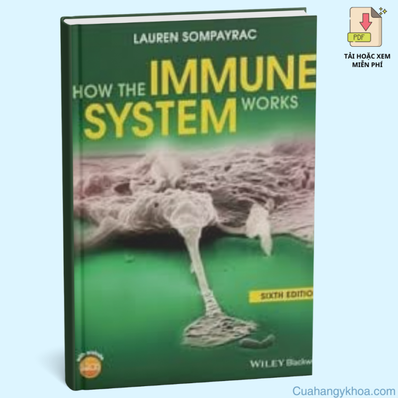 Hệ Thống Miễn Dịch Hoạt Động Như Thế Nào - 6th Edition: Khám Phá Cơ Chế Bảo Vệ Cơ Thể Con Người