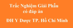 Tài liệu PDF trắc nghiệm giải phẫu YDS có đáp án