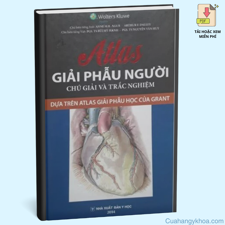 Atlas Giải Phẫu Người - Chú Giải Và Trắc Nghiệm PDF: Tài Liệu Vàng Cho Sinh Viên Y Khoa