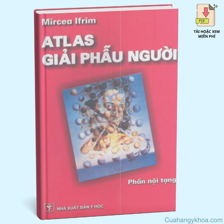 Atlas Giải Phẫu Người – Phần Nội Tạng | Cẩm Nang Chi Tiết Dành Cho Chuyên Gia Y Tế