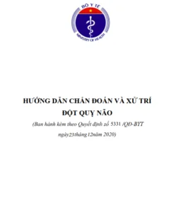 Tài liệu hướng dẫn xử trí đột quỵ não bộ y tế