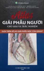 Bìa sách atlas giải phẫu pdf chú giải và trắc nghiệm dành cho sinh viên y khoa