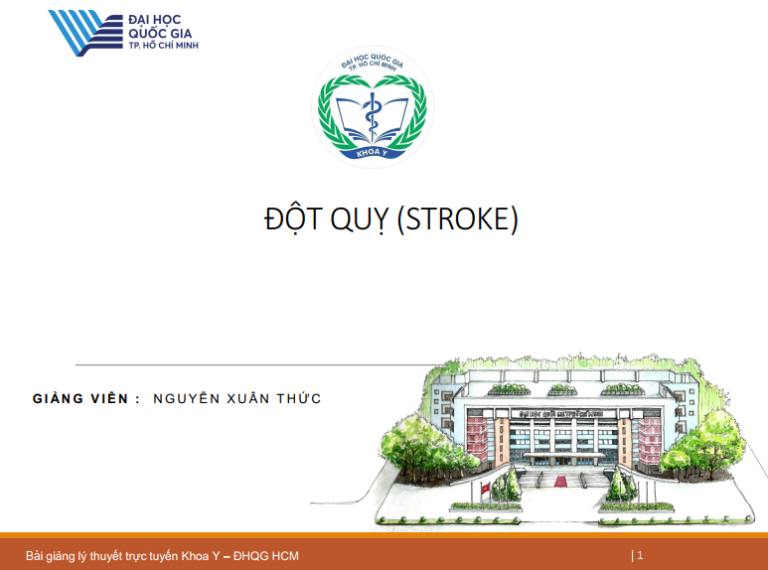 [PDF] HÌNH ẢNH HỌC ĐỘT QUỴ