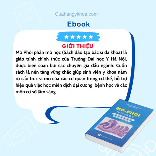 Mô phôi- phần mô học