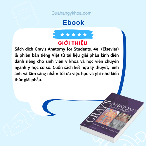 Sách dịch Gray's Anatomy for Students, 4e cập nhập mới nhất