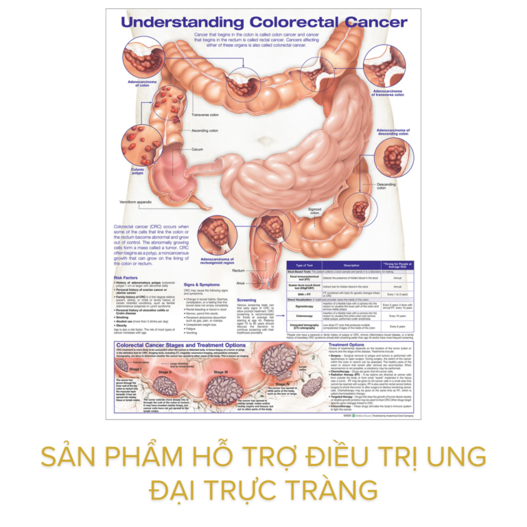 Sản phẩm hỗ trợ điều trị ung thư đại trực tràng – Giải pháp dinh dưỡng