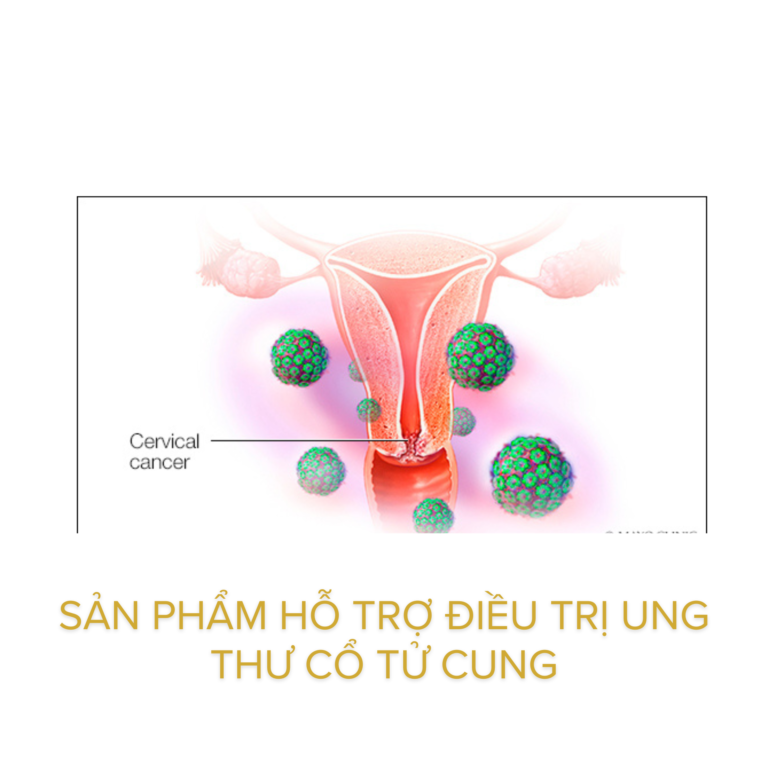 Sản phẩm hỗ trợ điều trị ung thư cổ tử cung giúp tăng cường miễn dịch