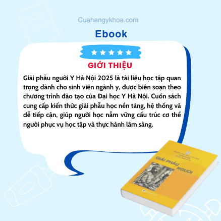 giai phau nguoi 2025 y ha noi (4) (2)