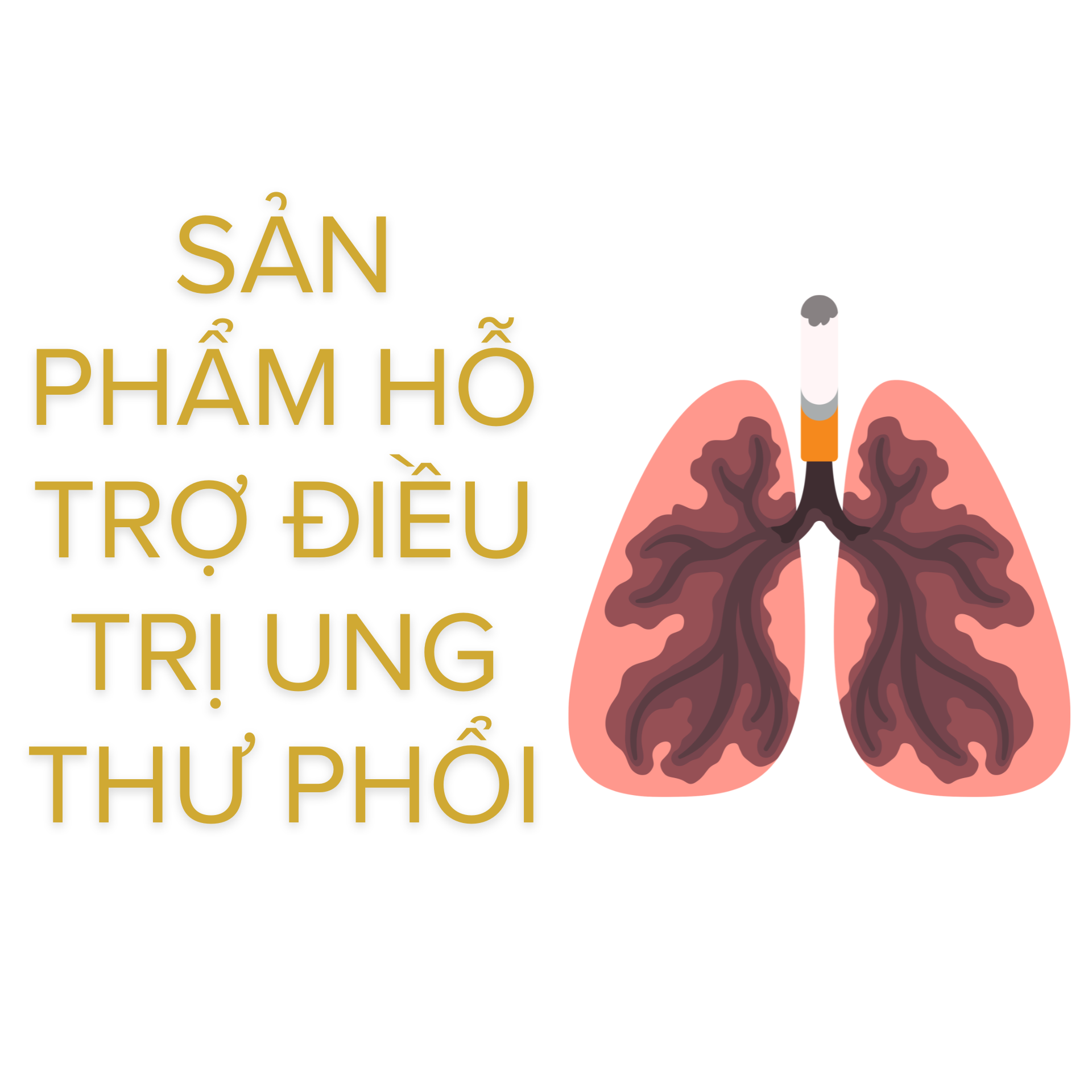 sản phẩm hỗ trợ điều trị ung thư phổi (2)