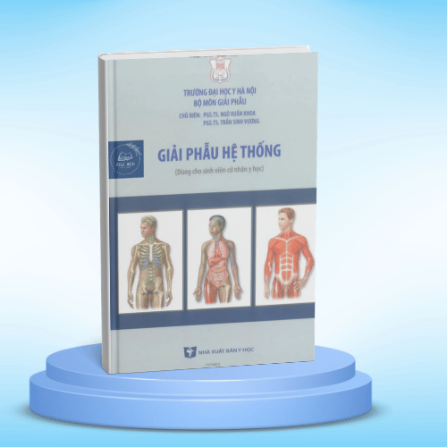 Tải Giải phẫu hệ thống Y Hà Nội pdf với nội dung đầy đủ, hỗ trợ sinh viên y khoa học giải phẫu hiệu quả, tra cứu nhanh và ôn thi dễ dàng.
