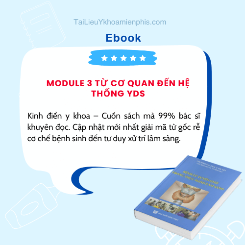 Tải Module 3 từ cơ quan đến hệ thống YDS pdf giúp sinh viên nắm vững kiến thức tích hợp, hỗ trợ học tập và ôn thi hiệu quả.