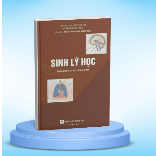 Tải Sinh lý học Y Hà Nội 2025 pdf đầy đủ, hỗ trợ sinh viên học tập và ôn thi hiệu quả.