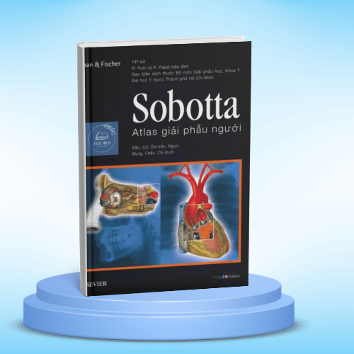 Tải Sobotta Atlas Giải phẫu người pdf với hình ảnh trực quan, hỗ trợ học giải phẫu, thực hành và ôn tập hiệu quả cho sinh viên y khoa.