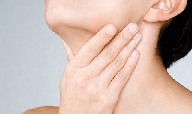 Hình ảnh giải phẫu minh họa vị trí và cấu trúc tuyến giáp